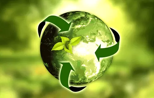 ECOmonkey Recycling
