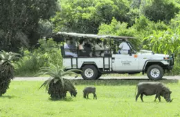 Dinizulu Safaris