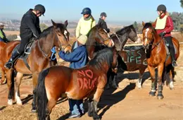 Shumbashaba - Horses helping people