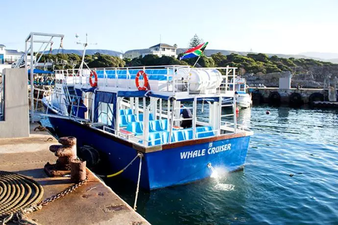 Whale Cruises South Africa
