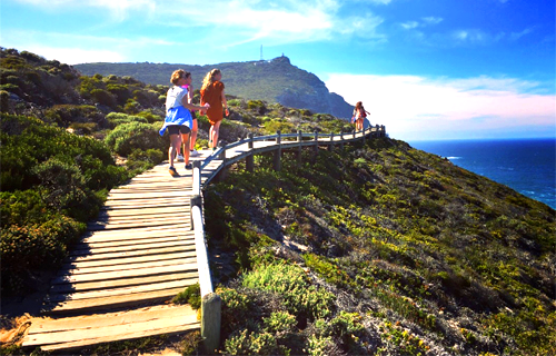 The Cape Town Tour Guide Co.