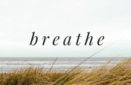 Sarel Steyn Clinical Psychologist