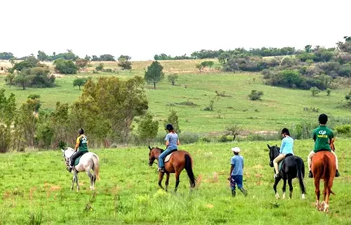 Shepherd's Fold Stables