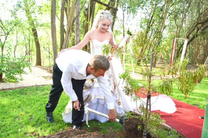 Tree Planting Ceremonies