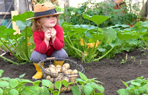 GardenMAD (Music. Art. Drama)