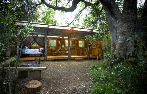 Platbos Forest Accommodation