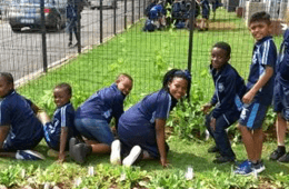 Lonehill International Academy