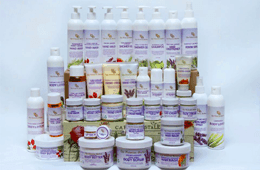 The Victorian Garden