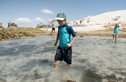 De Hoop Collection Nature Reserve