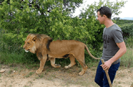 Wildthingz Lodge and Adventures