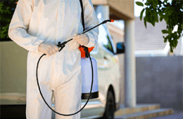 Peninsula Pest Control