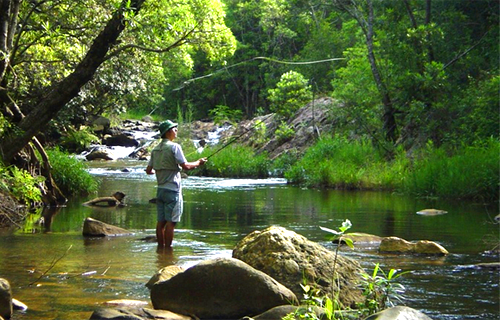 Cheerio Trout Fishing & Holiday Resort