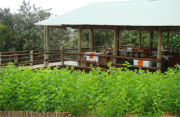 Mulberry Lane Luxury Self Catering Suites