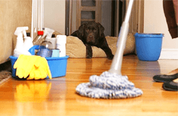 Axxo Cleaning & Maintenance Services