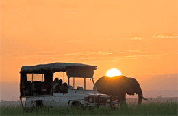 Key Shuttles & Tours