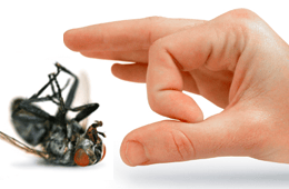 Solid Hygiene Solutions