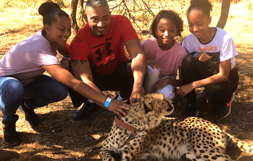 Akwaaba Predator Park