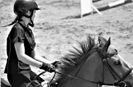 Southern Riding Centre