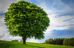 Anita Prag - Clinical Psychologist