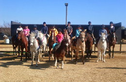 The IEA Elite Academic & Equestrian Academy