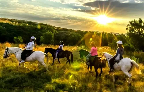 Harties Horse Trail Safaris