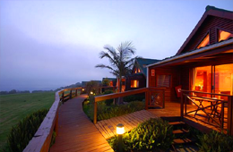 Misty Mountain Reserve