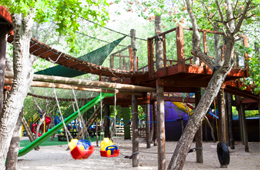 Bugz Family Playpark