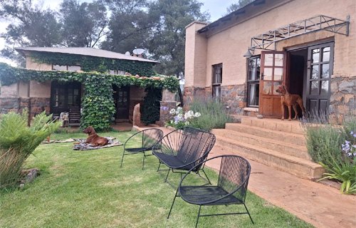 African Leaves Dullstroom