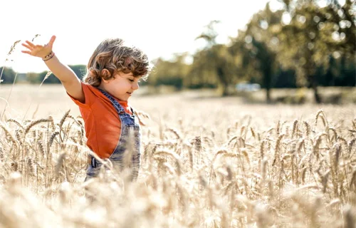 Building Blocks Occupational Therapy