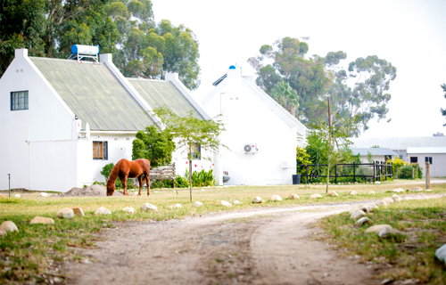 Citrus Creek Chalets & Camping Resort