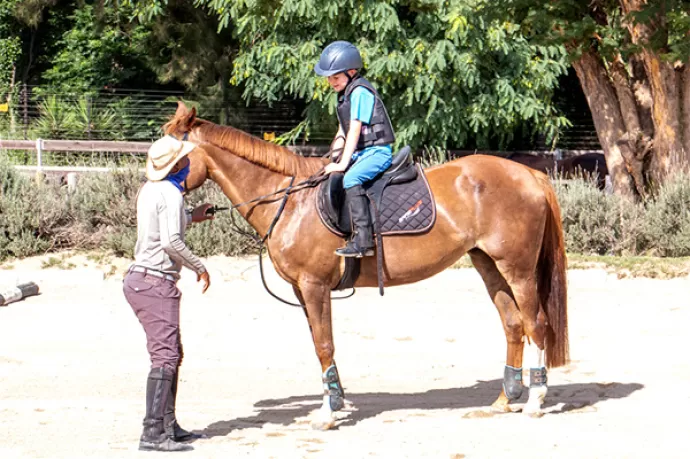Horse Riding Lessons Gauteng