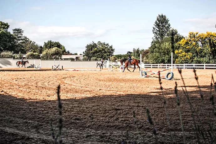 Horse Riding Lessons Midrand