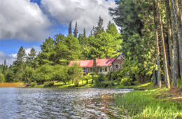 Pavetta Country House