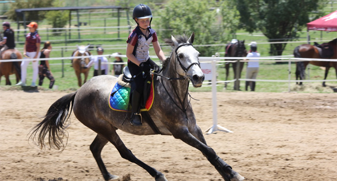 Horse Riding Prize